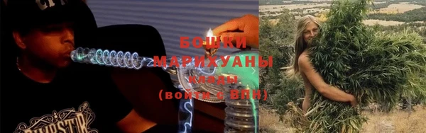 трава Новодвинск