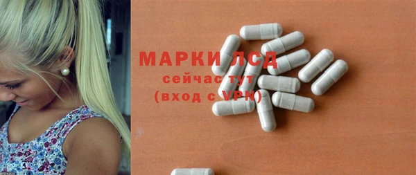 спиды Новозыбков