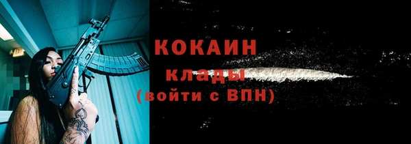 спиды Новозыбков
