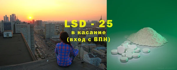 спиды Новозыбков