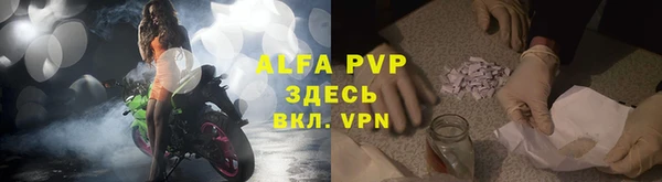 трава Новодвинск