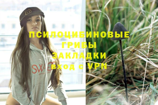 трава Новодвинск