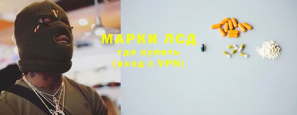 спиды Новозыбков