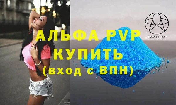 спиды Новозыбков