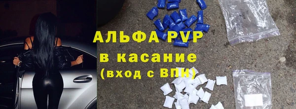 спиды Новозыбков