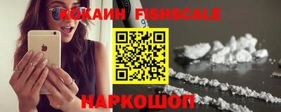 амф Камышлов