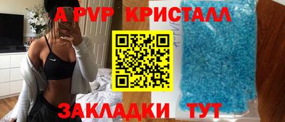 амф Камышлов