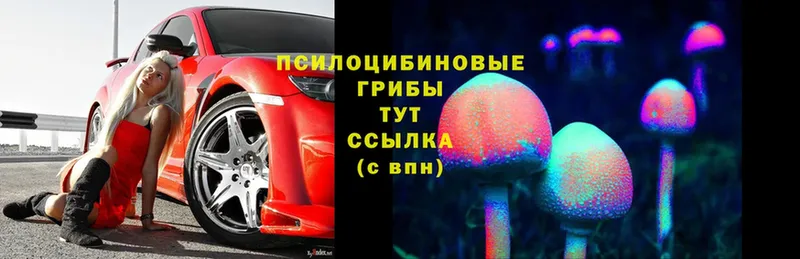 Псилоцибиновые грибы Magic Shrooms Советская Гавань