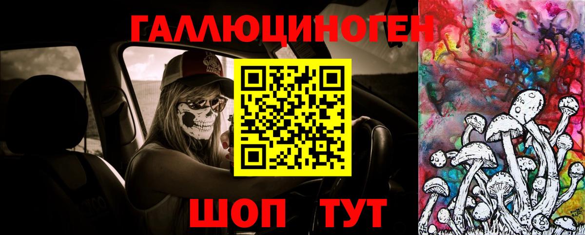 Галлюциногенные грибы GOLDEN TEACHER Советская Гавань