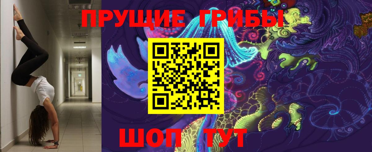 где найти наркотики  Псилоцибиновые грибы мухоморы  Советская Гавань  Вход с VPN  Галлюциногенные грибы Psilocybine cubensis 